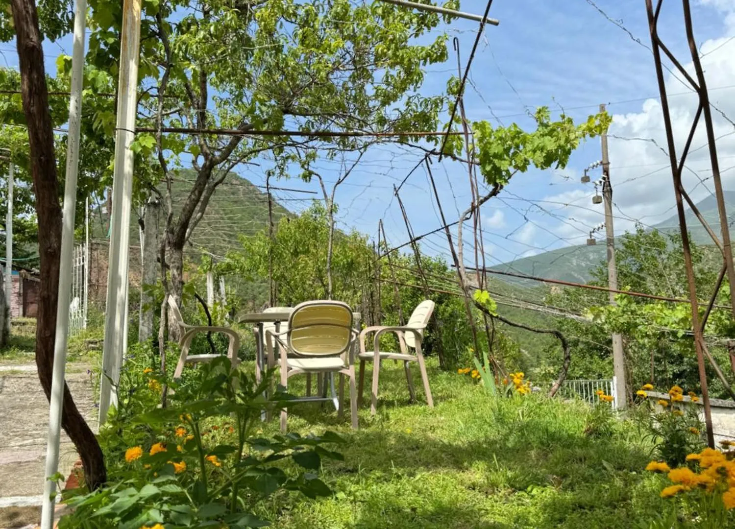 Guest House Noku Koman
