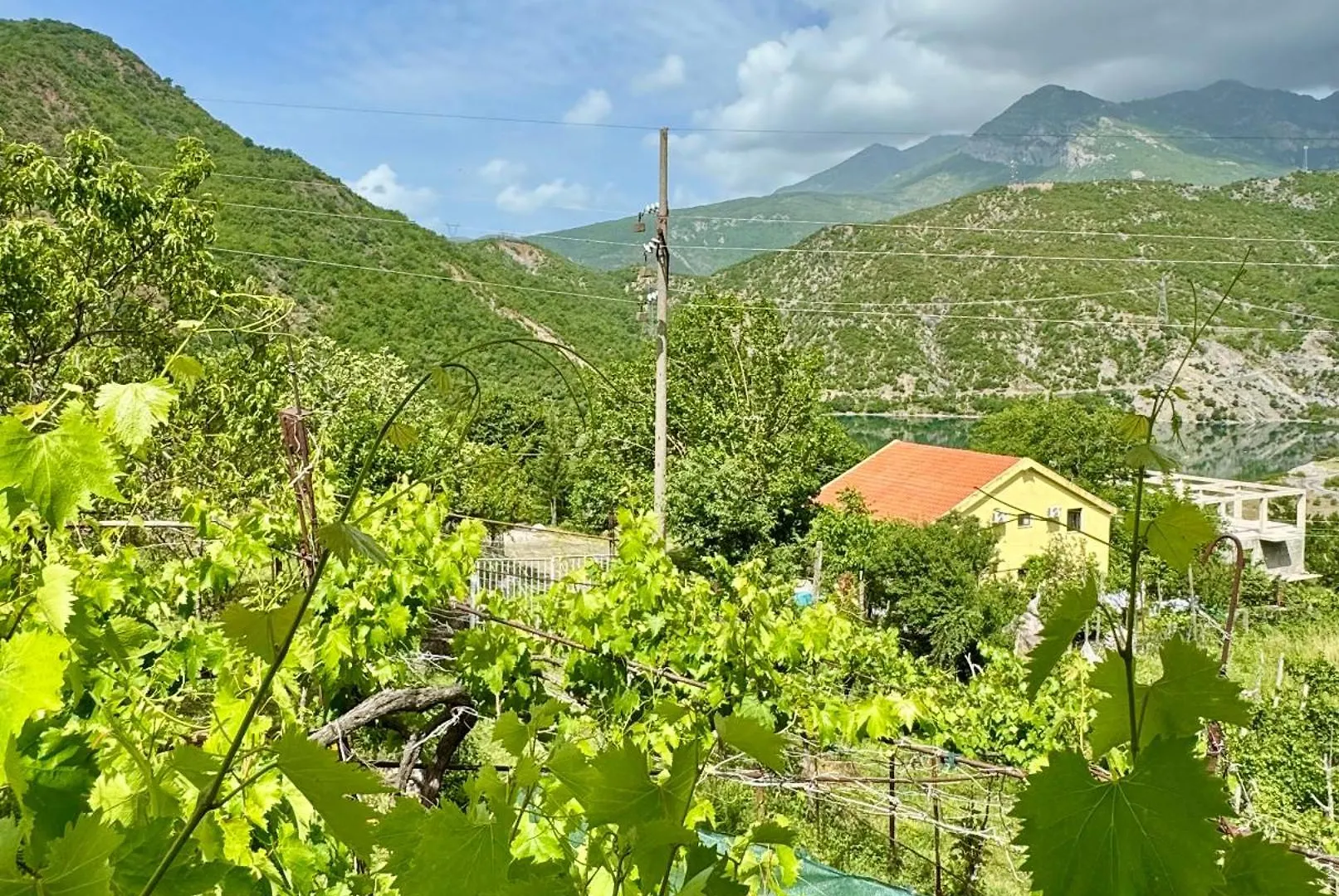 Guest House Noku Koman 0*,  Albania